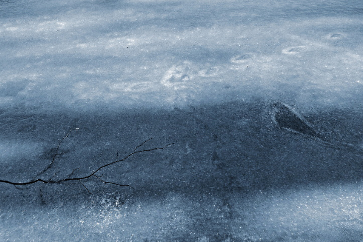 Příloha komentáře