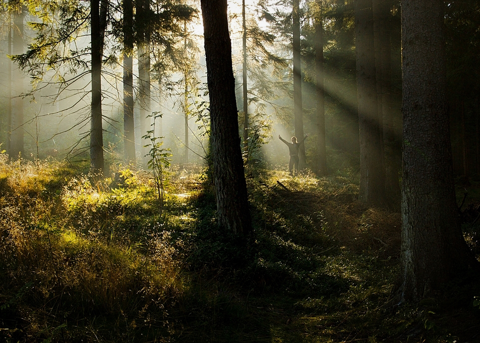 Příloha komentáře