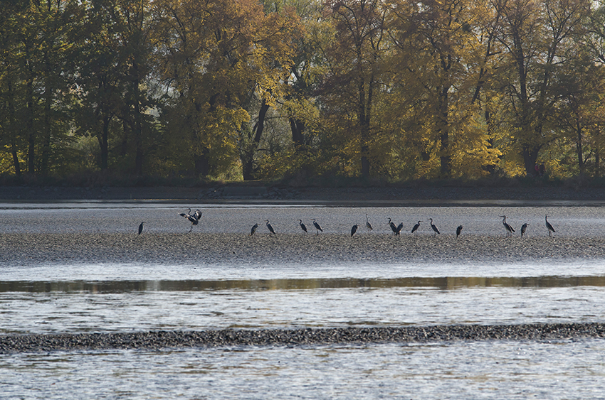 Příloha komentáře