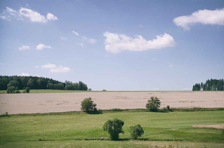 Příloha komentáře