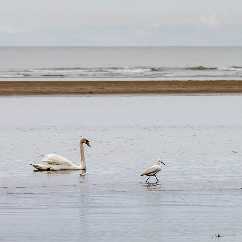 Příloha komentáře