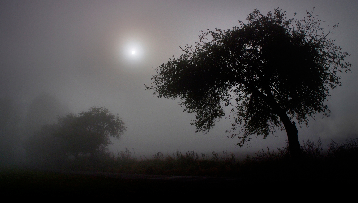 Příloha komentáře