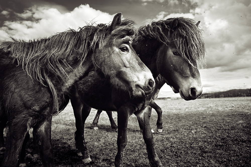 Příloha komentáře