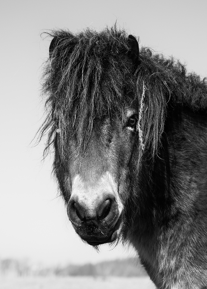 Příloha komentáře