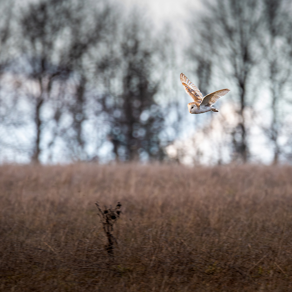 Příloha komentáře