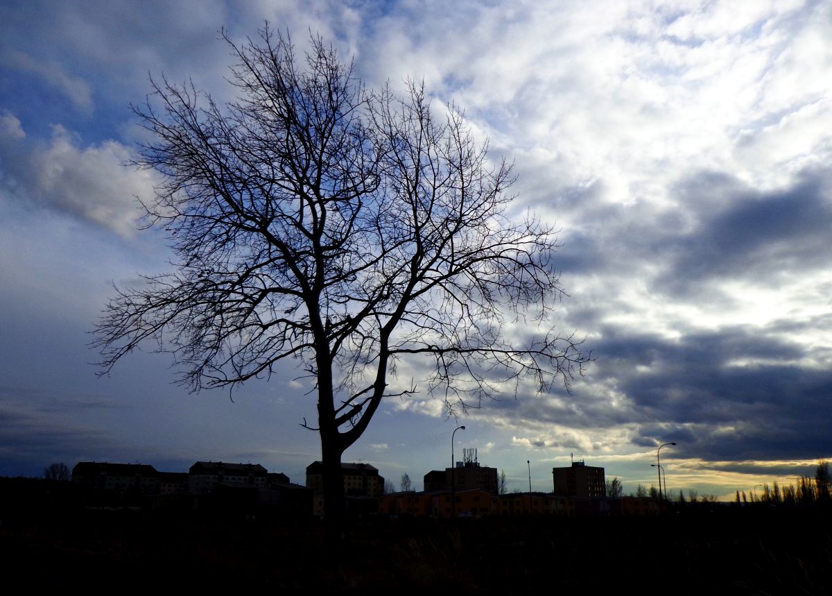 Příloha komentáře