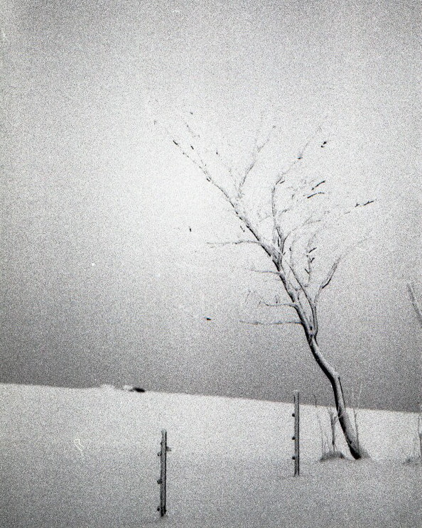 Příloha komentáře