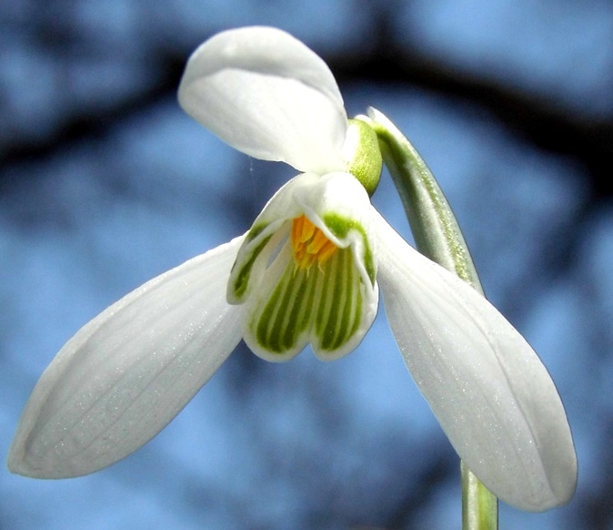 Příloha komentáře