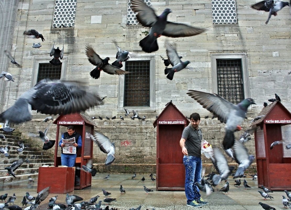 Příloha komentáře