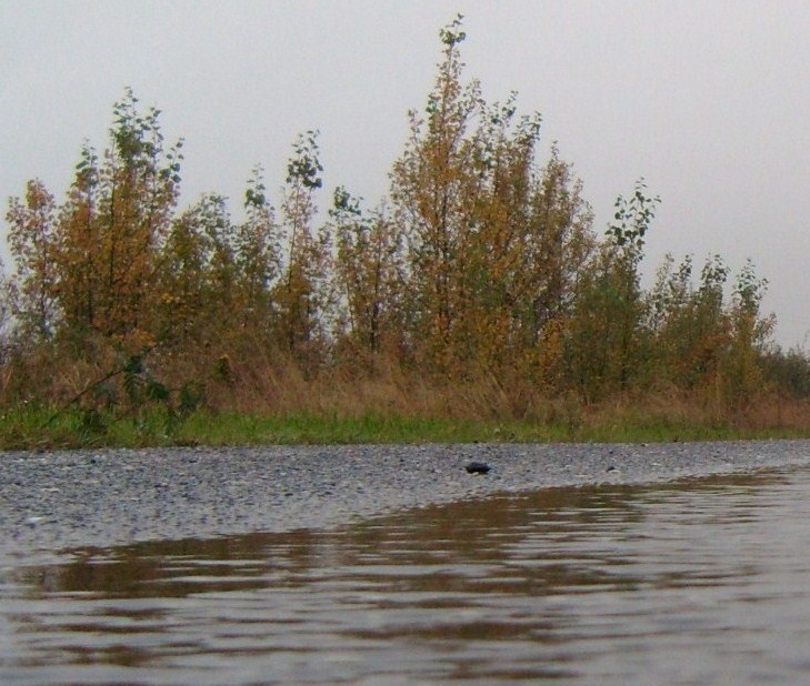 Příloha komentáře