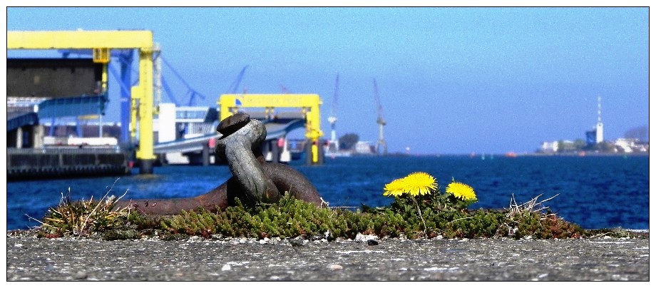 Příloha komentáře