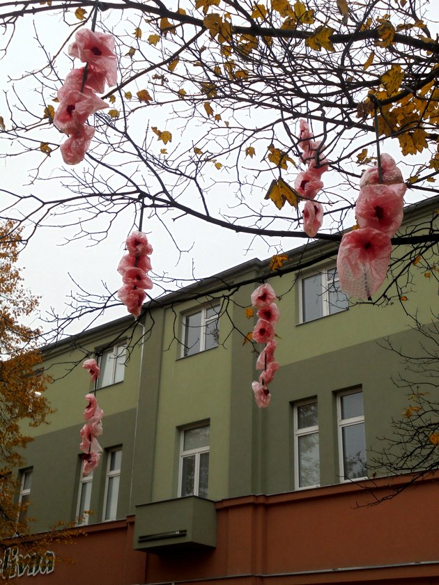 Příloha komentáře