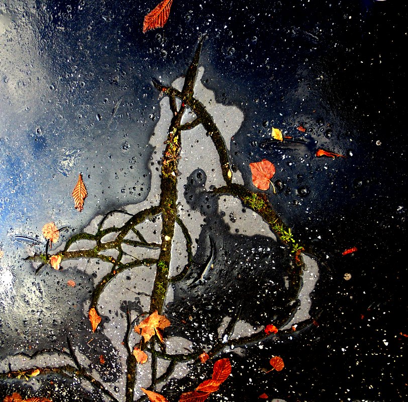 Příloha komentáře