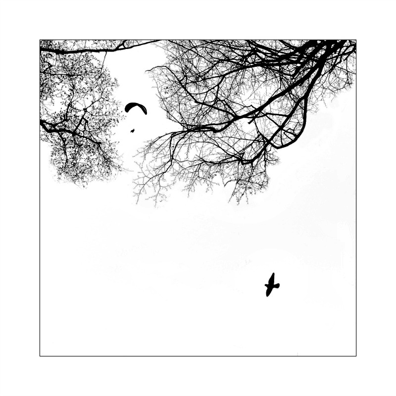 Příloha komentáře