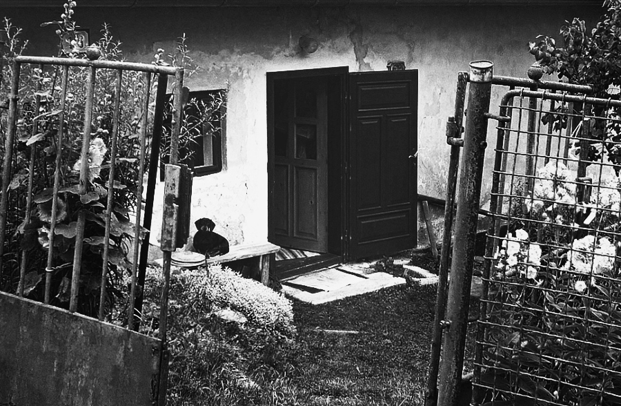 Příloha komentáře