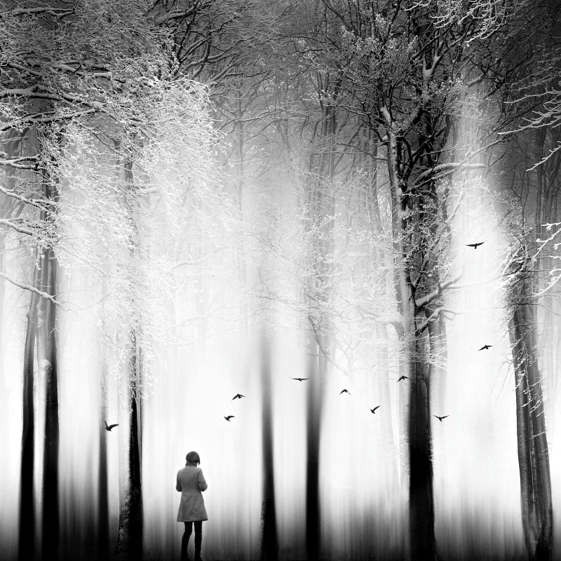 Příloha komentáře