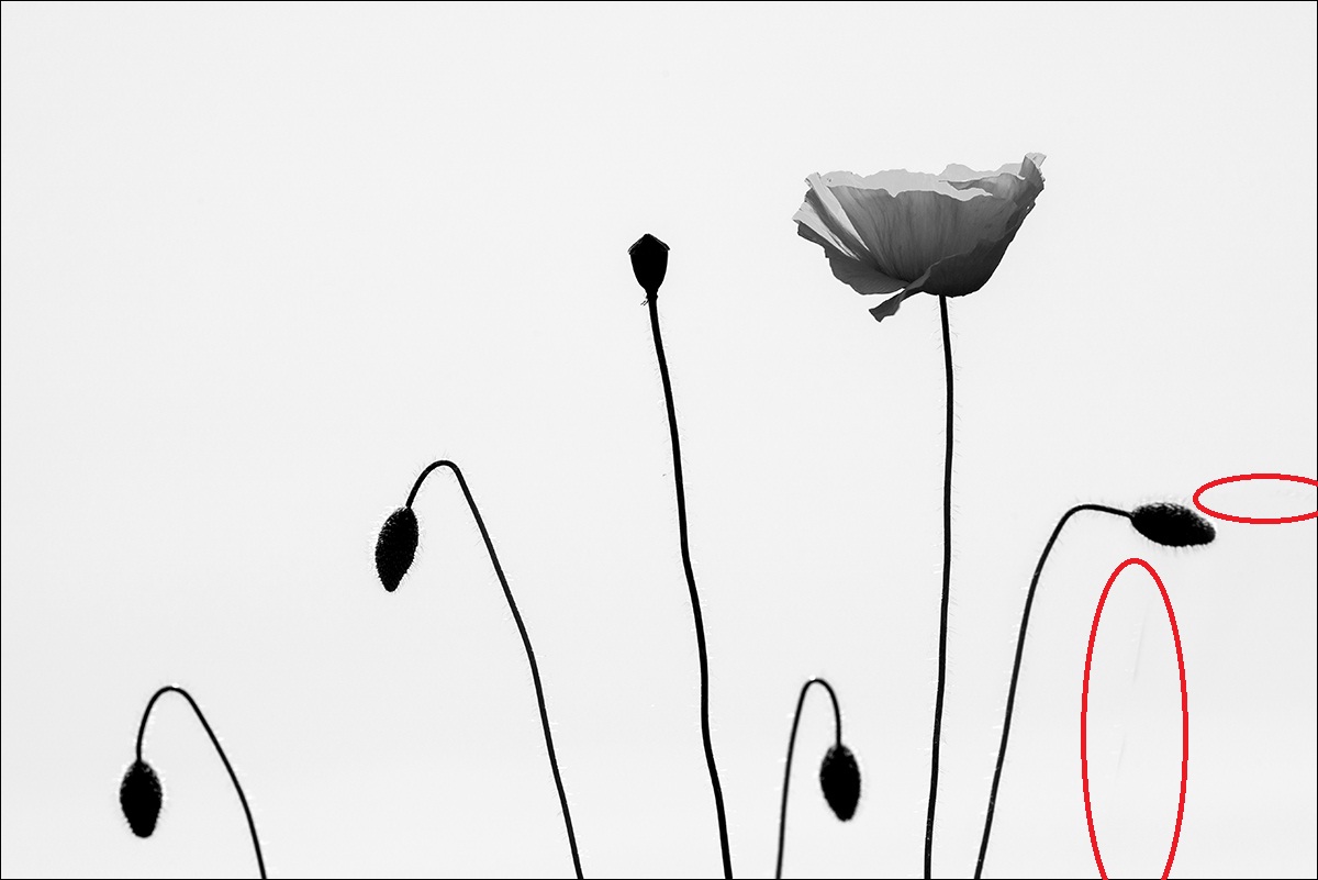 Příloha komentáře