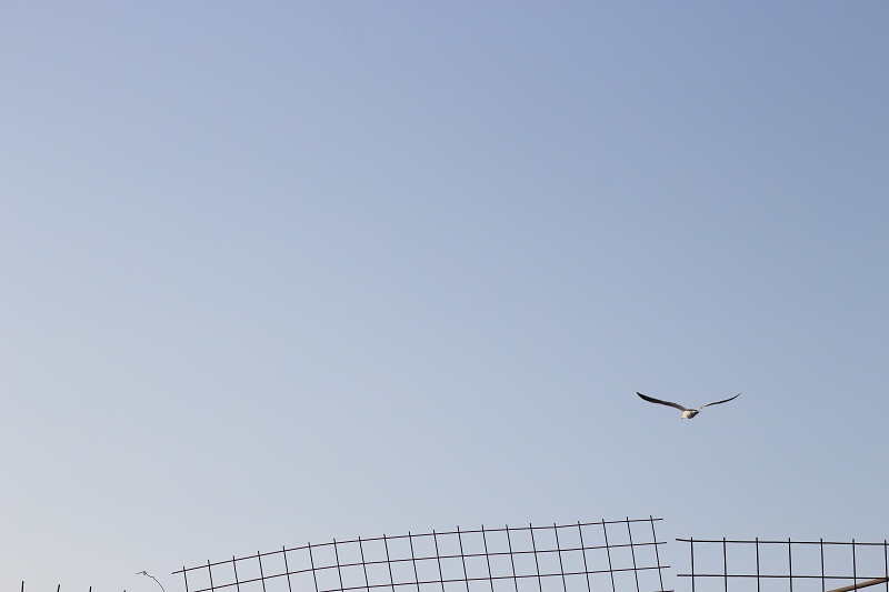 Příloha komentáře