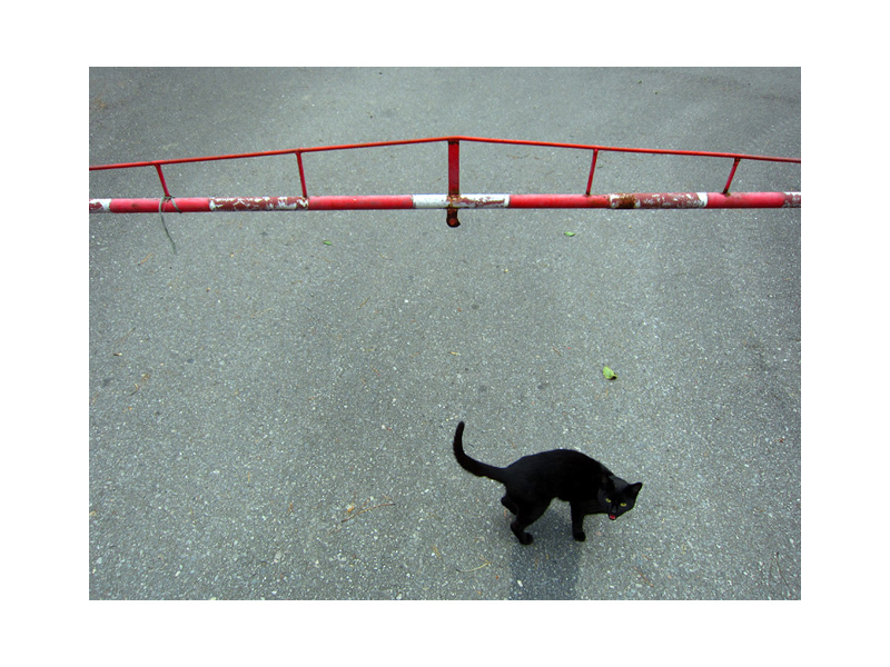 Příloha komentáře