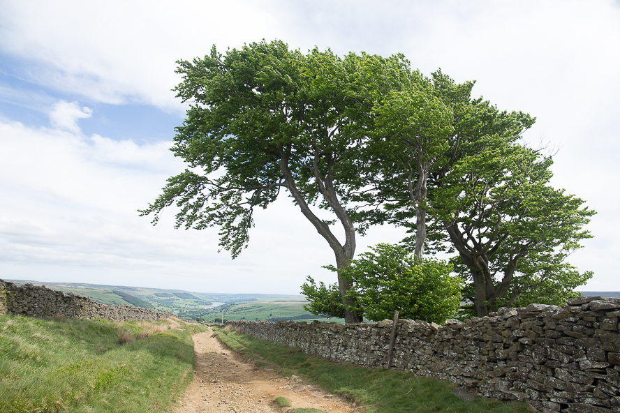 Příloha komentáře