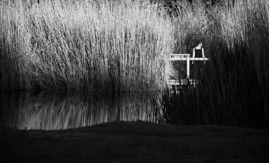 Příloha komentáře