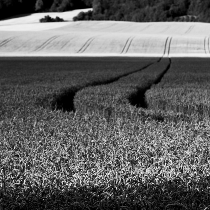 Příloha komentáře