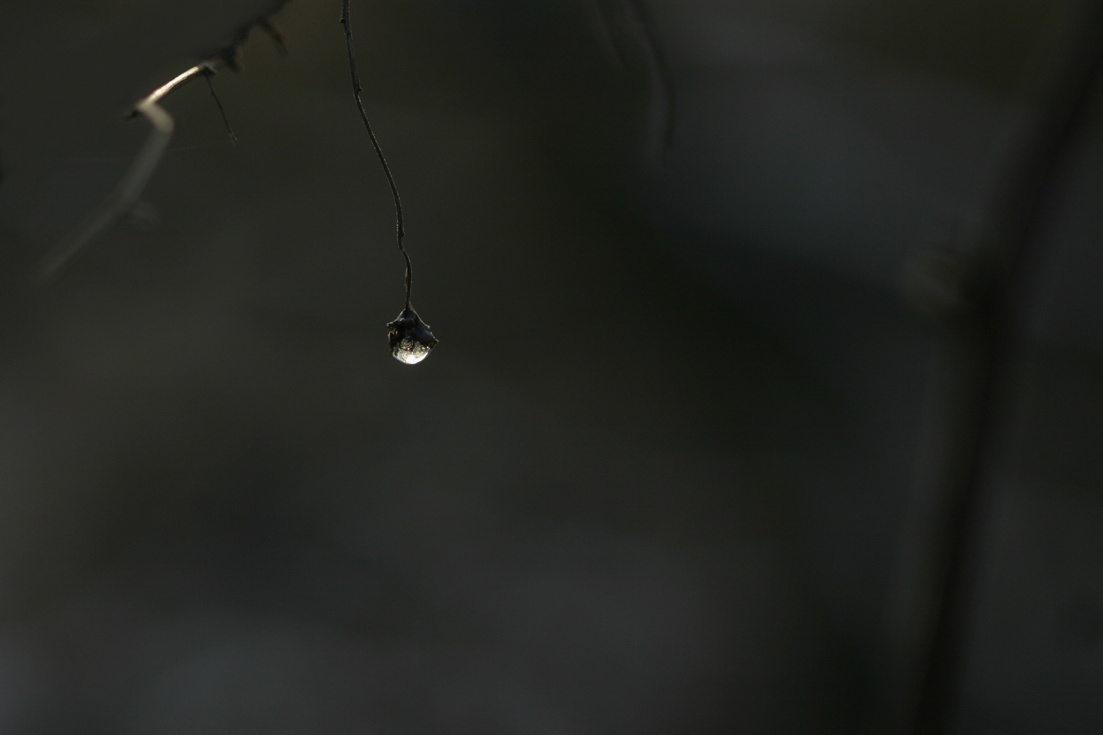 Příloha komentáře