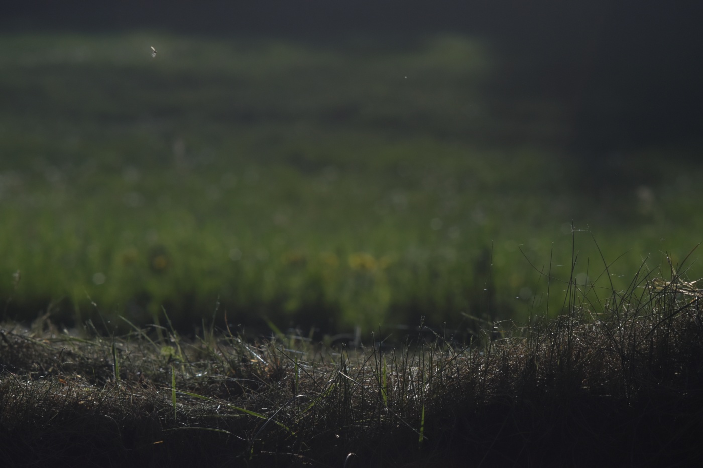 Příloha komentáře