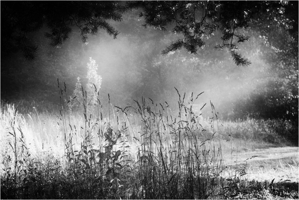 Příloha komentáře