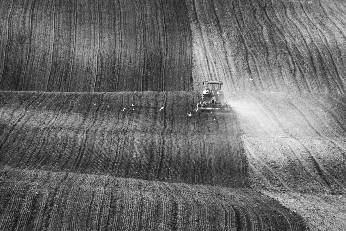 Příloha komentáře