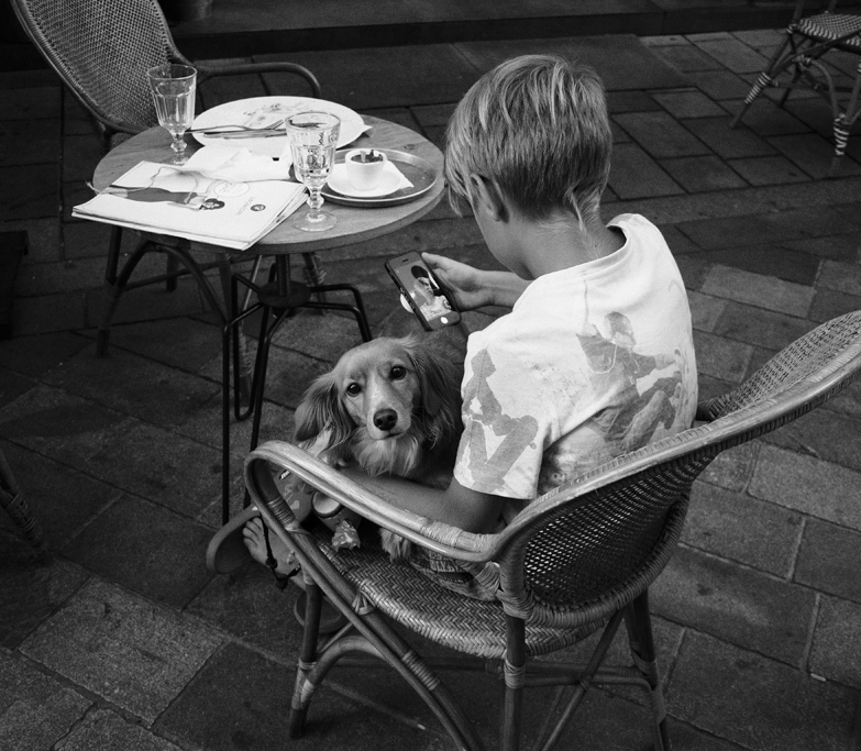 Příloha komentáře