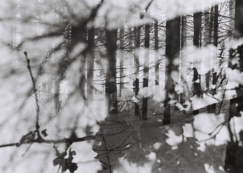 Příloha komentáře