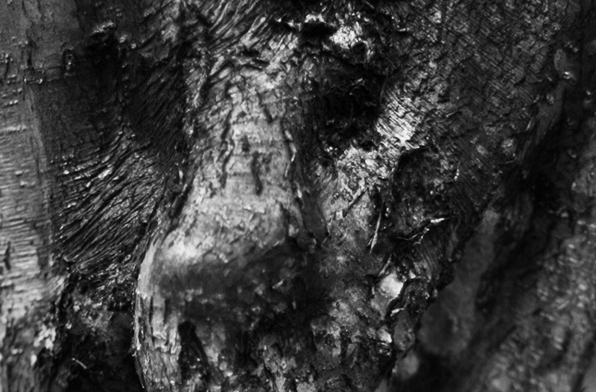 Příloha komentáře