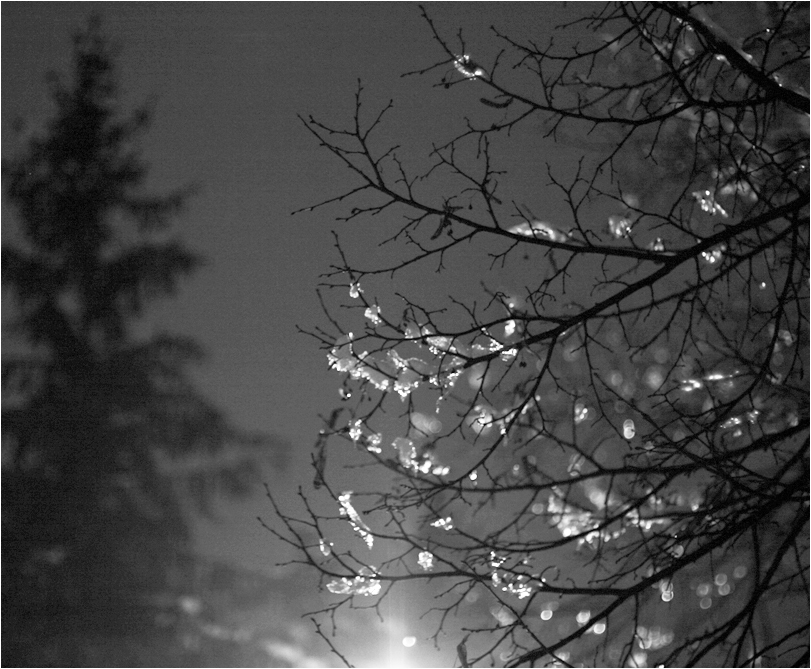 Příloha komentáře