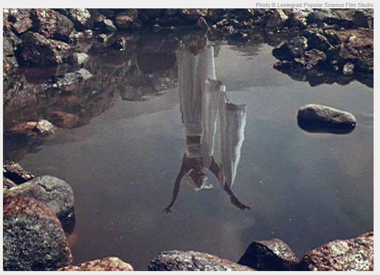 Příloha komentáře