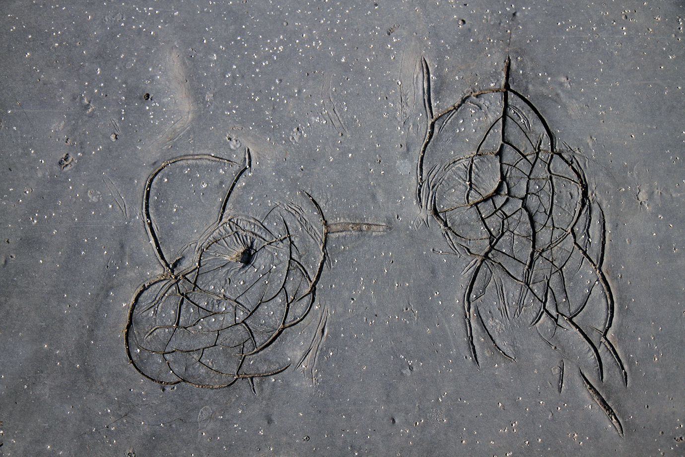 Příloha komentáře