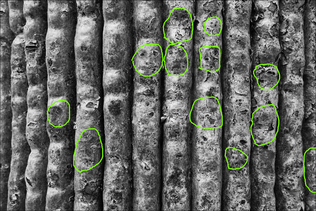 Příloha komentáře