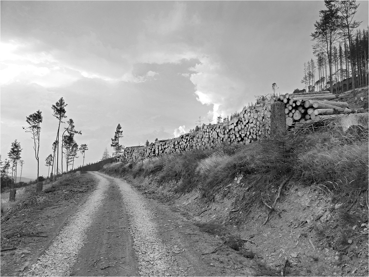 Příloha komentáře