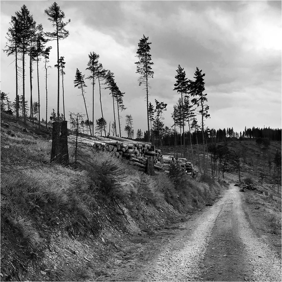 Příloha komentáře