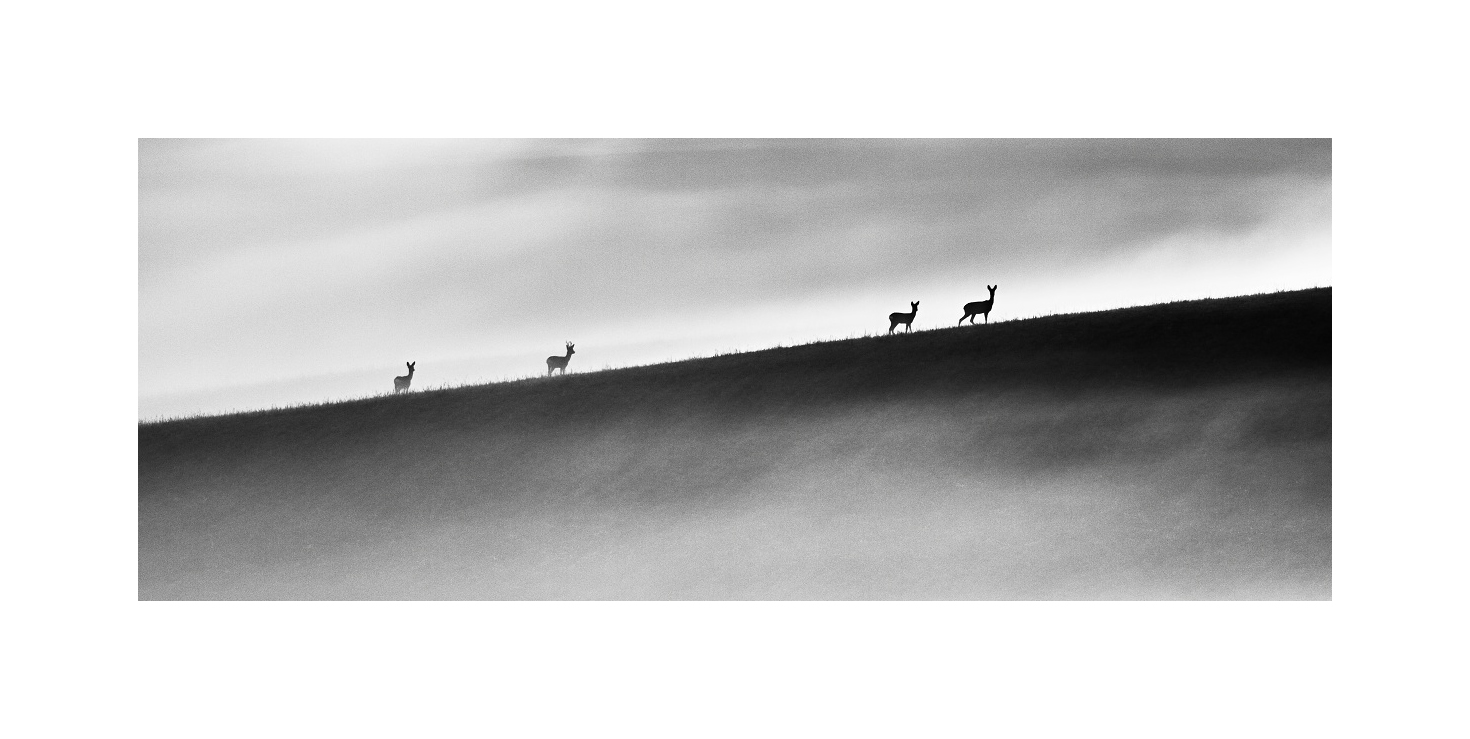 Příloha komentáře