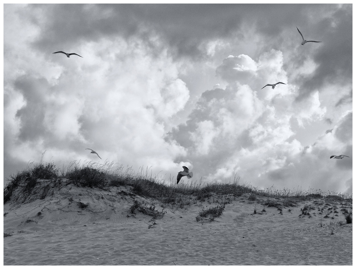 Příloha komentáře