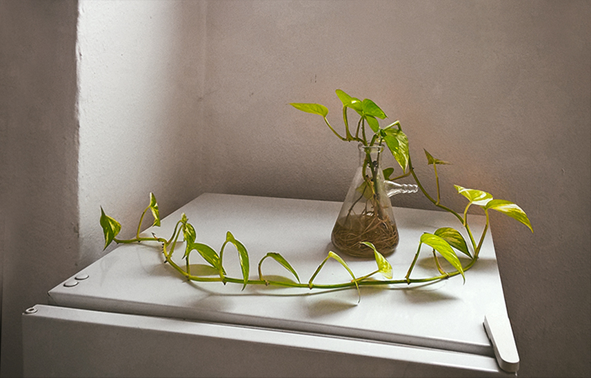 Příloha komentáře