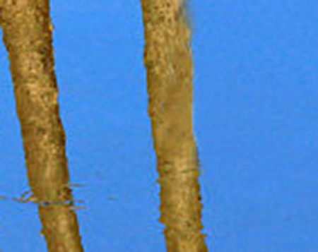 Příloha komentáře