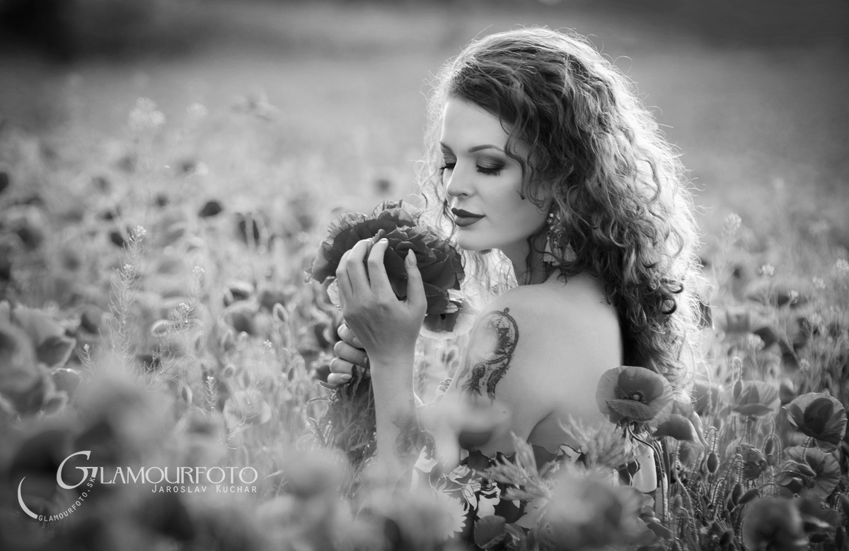 Příloha komentáře