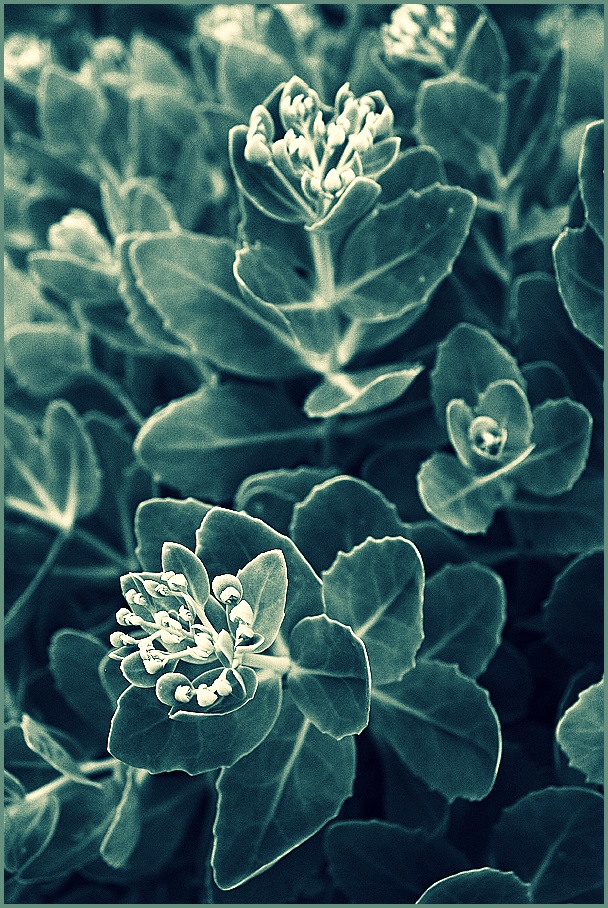 Příloha komentáře