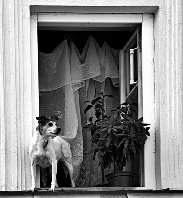 Příloha komentáře