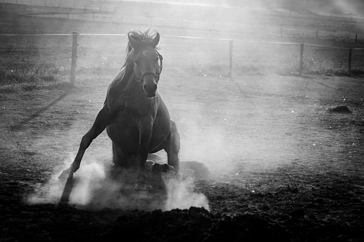 Příloha komentáře