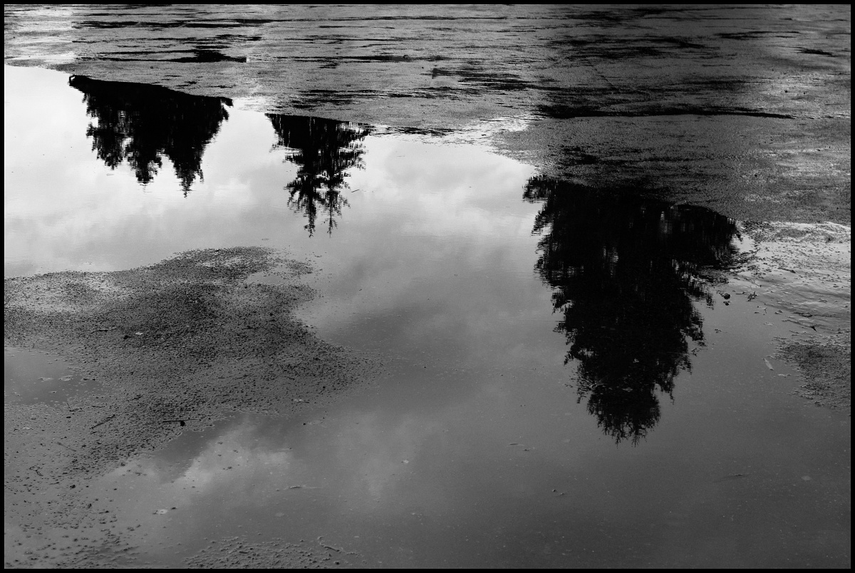 Příloha komentáře