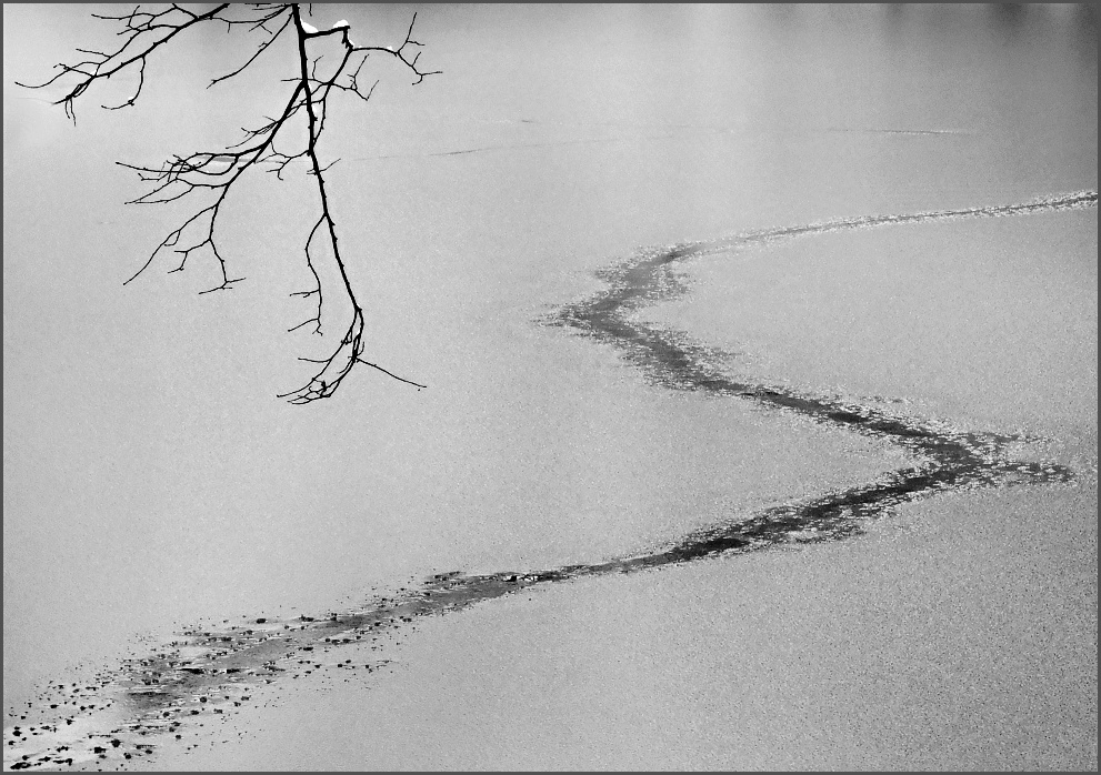 Příloha komentáře