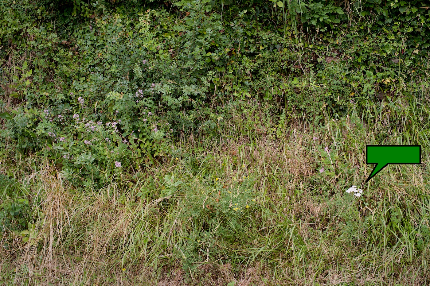 Příloha komentáře